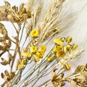 Gold and Yellow Mixed Bouquet | Dried Flower Arrangement